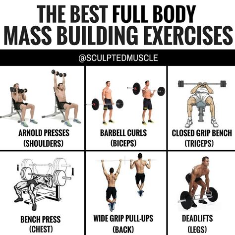 The Best Full Body Mass Building Exercises By Sculptedmuscle Contrary To Pop Full Body