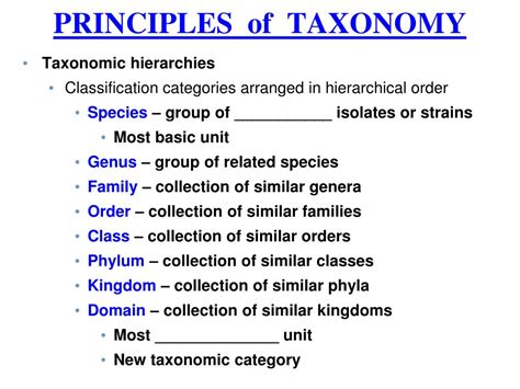 Taxonomy Definition Examples Classification Biology