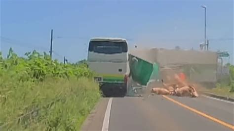 北海道南部 八雲町 養豚を乗せたトラックが高速バスに衝突5人死亡 12人重軽傷 養豚会社の安全運転管理者ら2人 業務上過失致死傷の疑いで“書類送検”