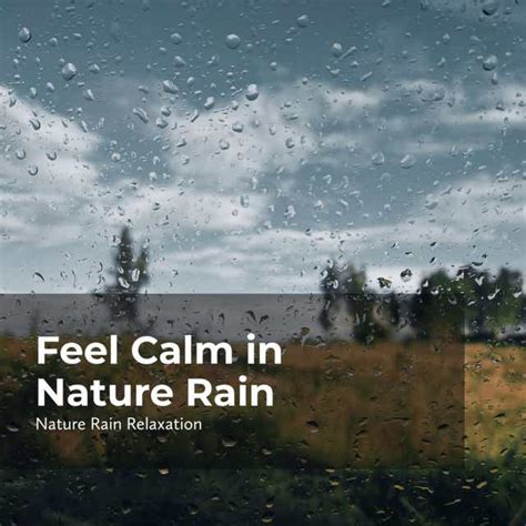 Rainfall Nature Rain Relaxation And Rain Recorders Birds In Steady