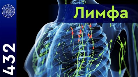 #432 Лимфатическая система. Застой и очищение. Лимфоузлы. Чистота лимфы ...