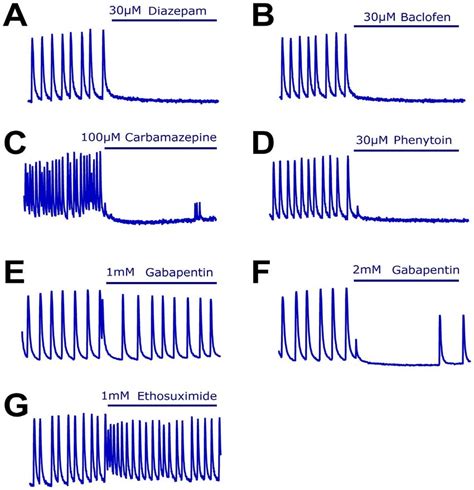 Changes In Calcium Oscillations In Response To Application Of Classic