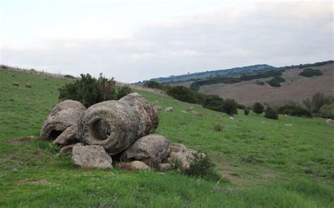 In Sardegna Esiste Una Foresta Pietrificata Ogliastra Vistanet