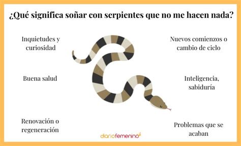 Qu Significa So Ar Con Serpientes Que No Te Hacen Nada Ni Te Atacan