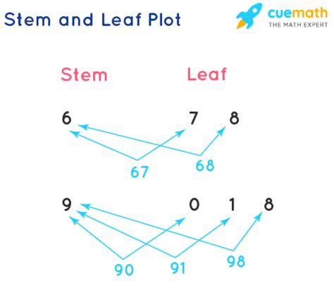 Stem And Leaf Plot Meaning Construction Splitting And Examples