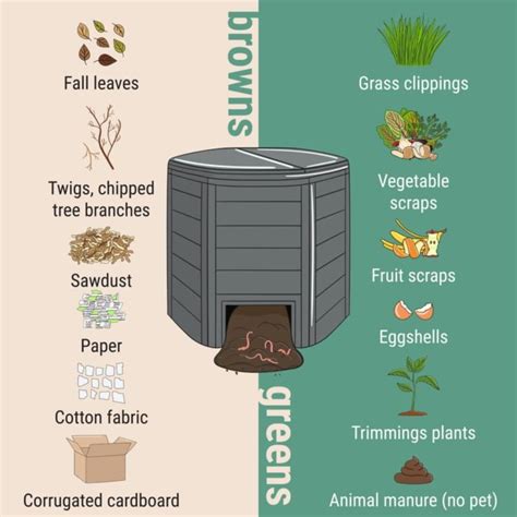 Starting Your Own Compost Bin At Home Make Sure You Get Your Cn