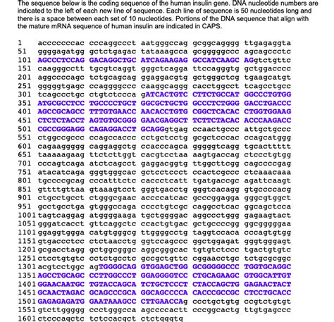 Gene Dna Sequence