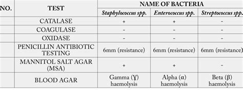 Biochemical Test And Name Of Species For Gram Positive Bacteria