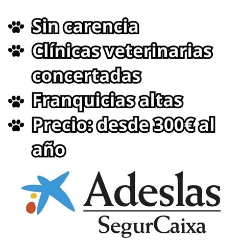 Seguros Para Perros Mayores 2023 Lista De Seguros Por Edad