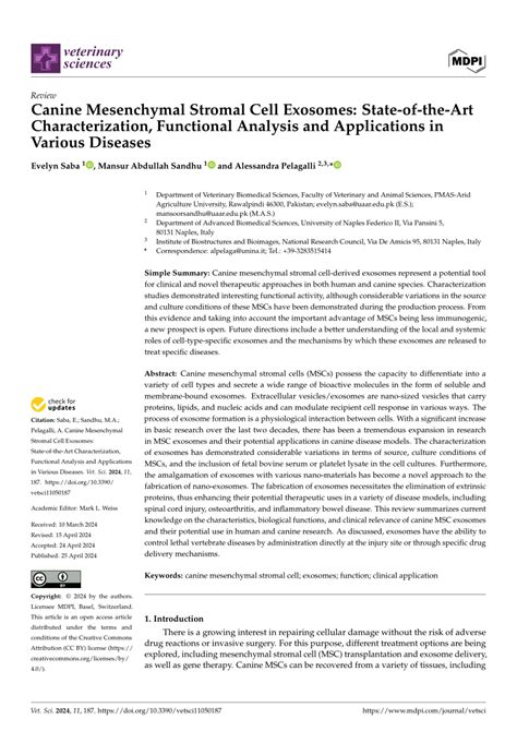 Pdf Canine Mesenchymal Stromal Cell Exosomes State Of The Art