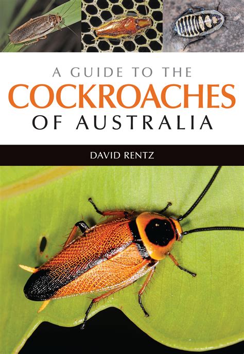 Book Review: A Guide To The Cockroaches Of Australia - Nature Books