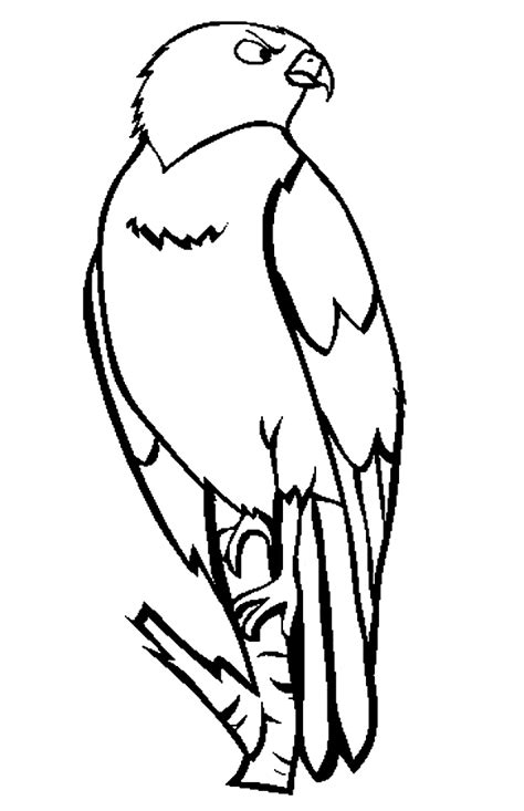 Hawk Coloring Free Animal Coloring Pages Sheets Hawk