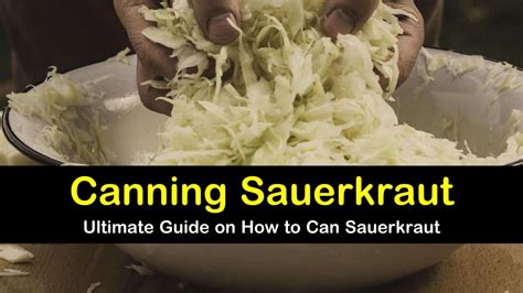 How to Ferment & Can Sauerkraut the Easy Way