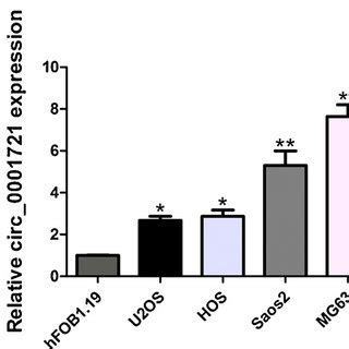 Relative Expression Of Circ 0001721 In OS Tissues And Cell Lines And