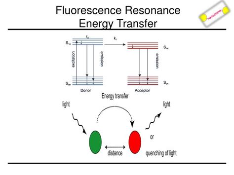 Ppt Nanosensors Powerpoint Presentation Id2128577