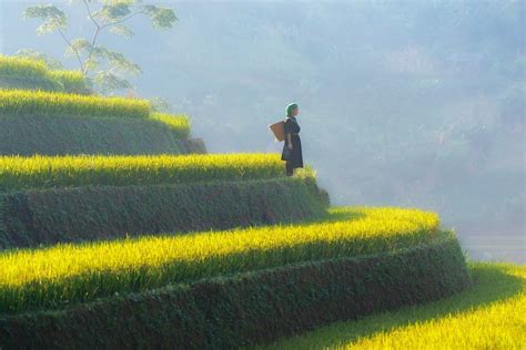 Mu Cang Chai - Vietnam's most beautiful rice terraces [2022 updated]