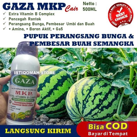 Jual Manjur Pupuk Anti Rontok Bunga Dan Buah Semangka Super Besar