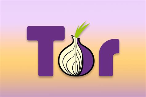 Tor Browser Has a New ”WebTunnel” Feature to Avoid Censorship