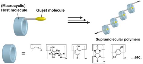 Supramolecular Polymers Host Guest Interactions Springerlink