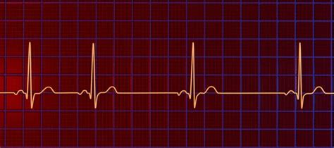 Scientific Illustration Depicting Electrocardiogram Ecg Displaying