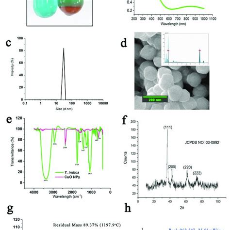 Synthesis And Characterization Of Cuo Nps A Formation Of Cuo Nps Download Scientific