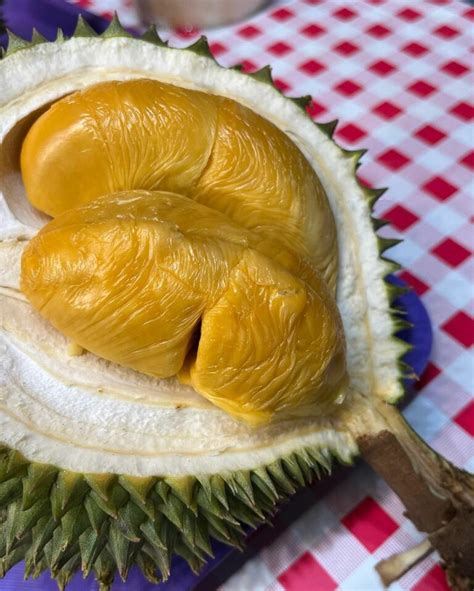 Best Durian Stalls In Singapore Eatbook Sg