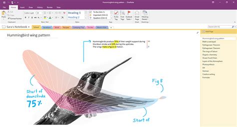 OneNote Vs OneNote For Windows 10 What S The Difference OnMSFT