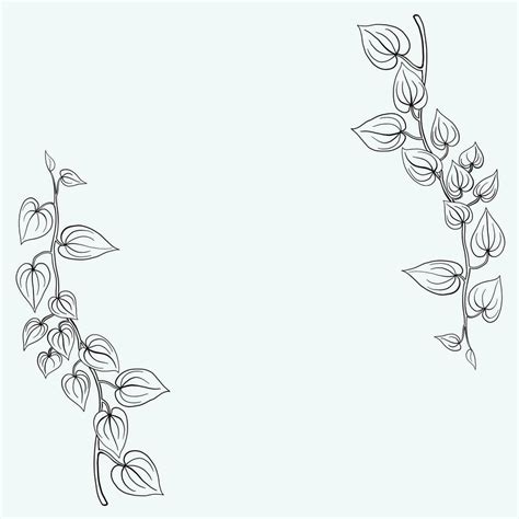 Floral Ivy Drawing Decorative Ornament Flat Design Vector Art