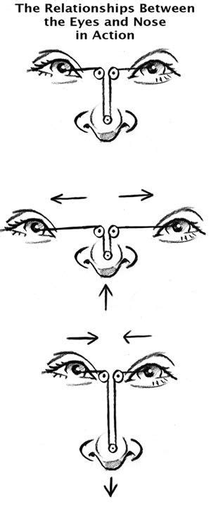 How To Draw Caricatures Relationship Of Features Caricature Tutorial