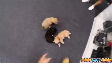 Hot Blonde Needs Cash For Veterinary Bill And Pawn Her Pussy