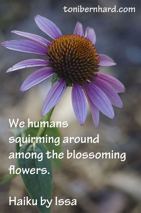 Haiku Poems About Flowers