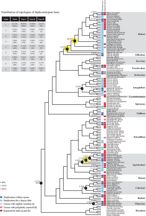 Pdf Evolution Of Rosaceae Fruit Types Based On Nuclear Phylogeny In