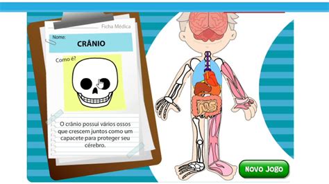 Jogo Da Mem Ria Dos Rg Os Do Corpo Humano Atividades Interativas