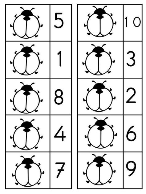 Pin By Silvia Cruz On Education Math Activities Preschool Preschool