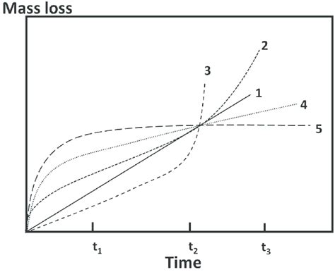 Possible Mass Loss Vs Time Curves During Physiological In Vitro