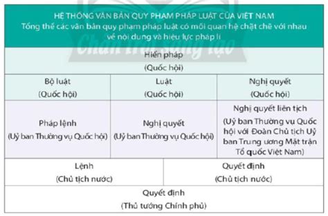 Em Hãy đọc Thông Tin Dưới đây Và Trả Lời Câu Hỏi Hệ Thống Pháp Luật