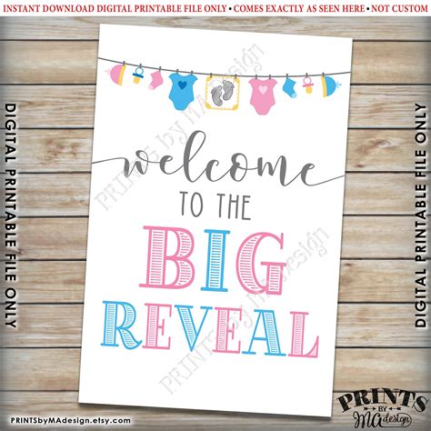 Welcome To The Big Reveal Sign Pink Or Blue Gender Reveal Party