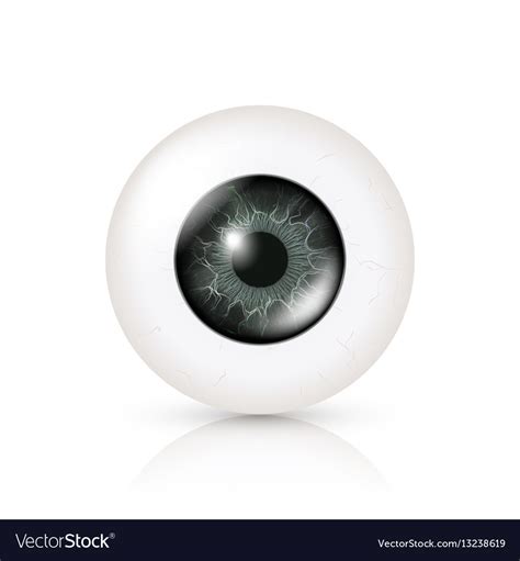 Eye Realistic 3d Human Royalty Free Vector Image