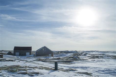 Favorite Winter Walks On Cape Cod Winter Walk Cape Cod Cape