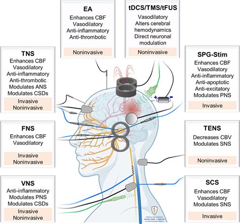 The Potential Role Of Neuromodulation In Subarachnoid Hemorrhage