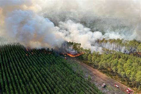 Southwest Of France Fires Ravage Over 6 600 Acres Blaze Still Not