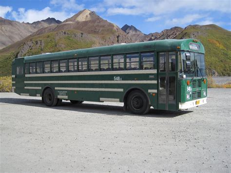 Adventures in Alaska: Denali National Park Bus Tour