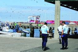 Pesca Da Sardinha Proibida A Partir De S Bado Sociedade Correio Da