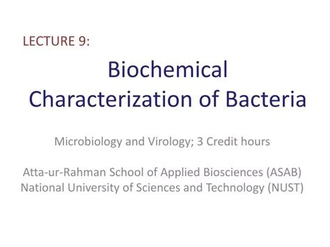 Ppt Biochemical Characterization Of Bacteria Powerpoint Presentation