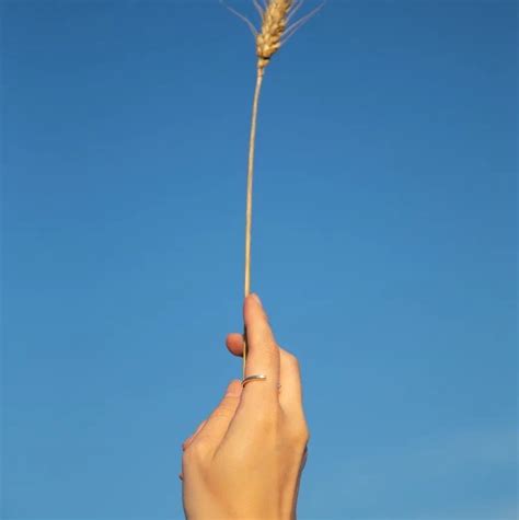 Кольца купить в Москве | Магазин «Двенадцать»