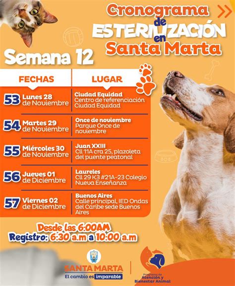 Gobierno Santa Marta On Twitter Si Cuidas A Tus Perritos Y Gatitos