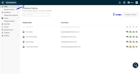 How To Assign Licenses In Spanning Backup For Microsoft Kaseya