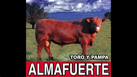 Almafuerte Toro Y Pampa AUDIO YouTube Music