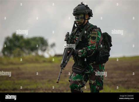 A member of the Tentara Nasional Indonesia (TNI-AD Indonesia Armed ...