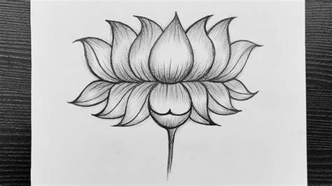 How To Draw A Realistic Lotus Flower